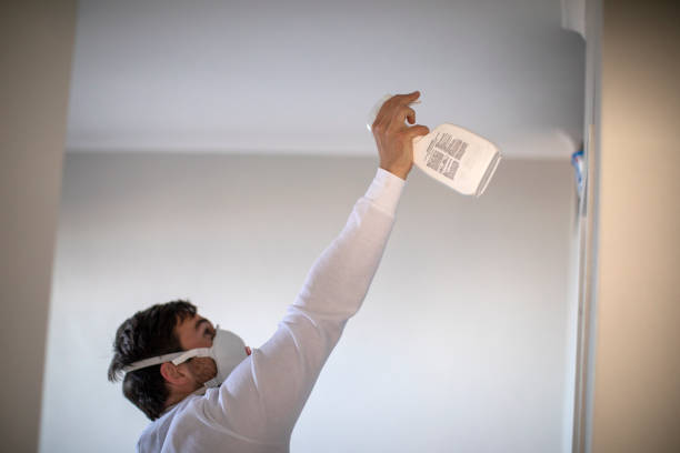 Professional Mold Removal in Long Branch, VA