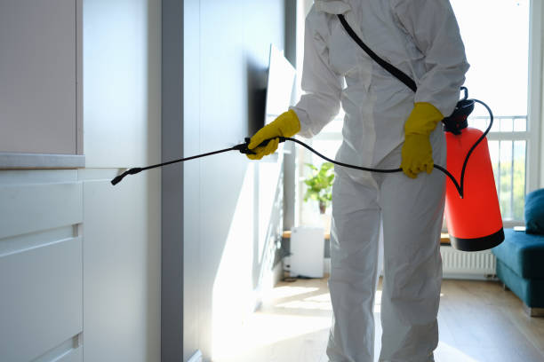 Best Attic Mold Removal  in Long Branch, VA