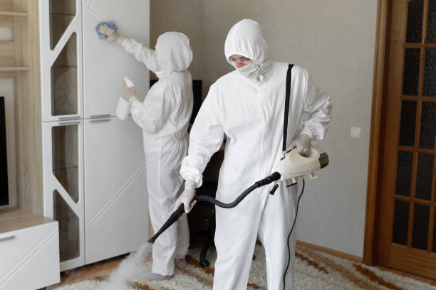Best Commercial Mold Removal  in Long Branch, VA