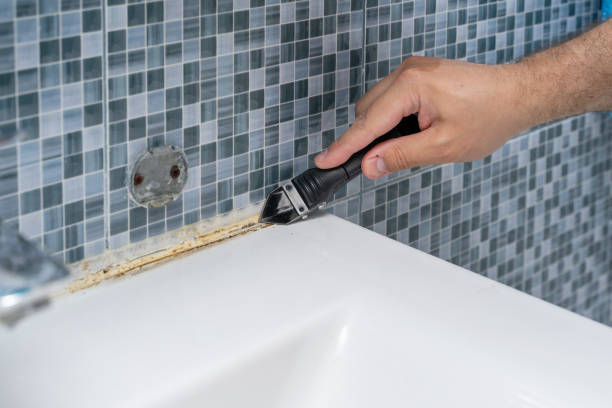 Best Professional Mold Removal  in Long Branch, VA