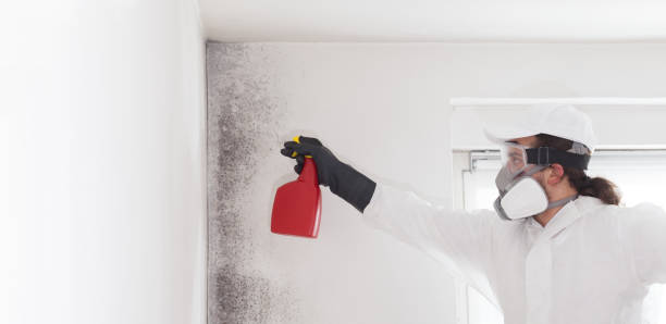 Best Emergency Mold Removal  in Long Branch, VA