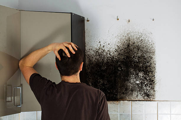 Best Commercial Mold Removal  in Long Branch, VA